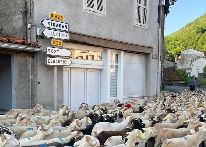 Apartamento Petit Village Authentique Mauléon-Barousse